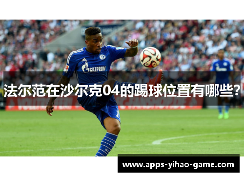 法尔范在沙尔克04的踢球位置有哪些? 法尔范在沙尔克04的踢球位置有哪些?